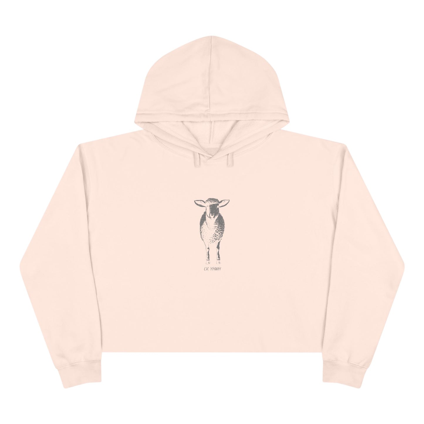 Found Crop Hoodie – Christian Women’s Hoodie | Luke 15:4 | Faith-Based Fashion