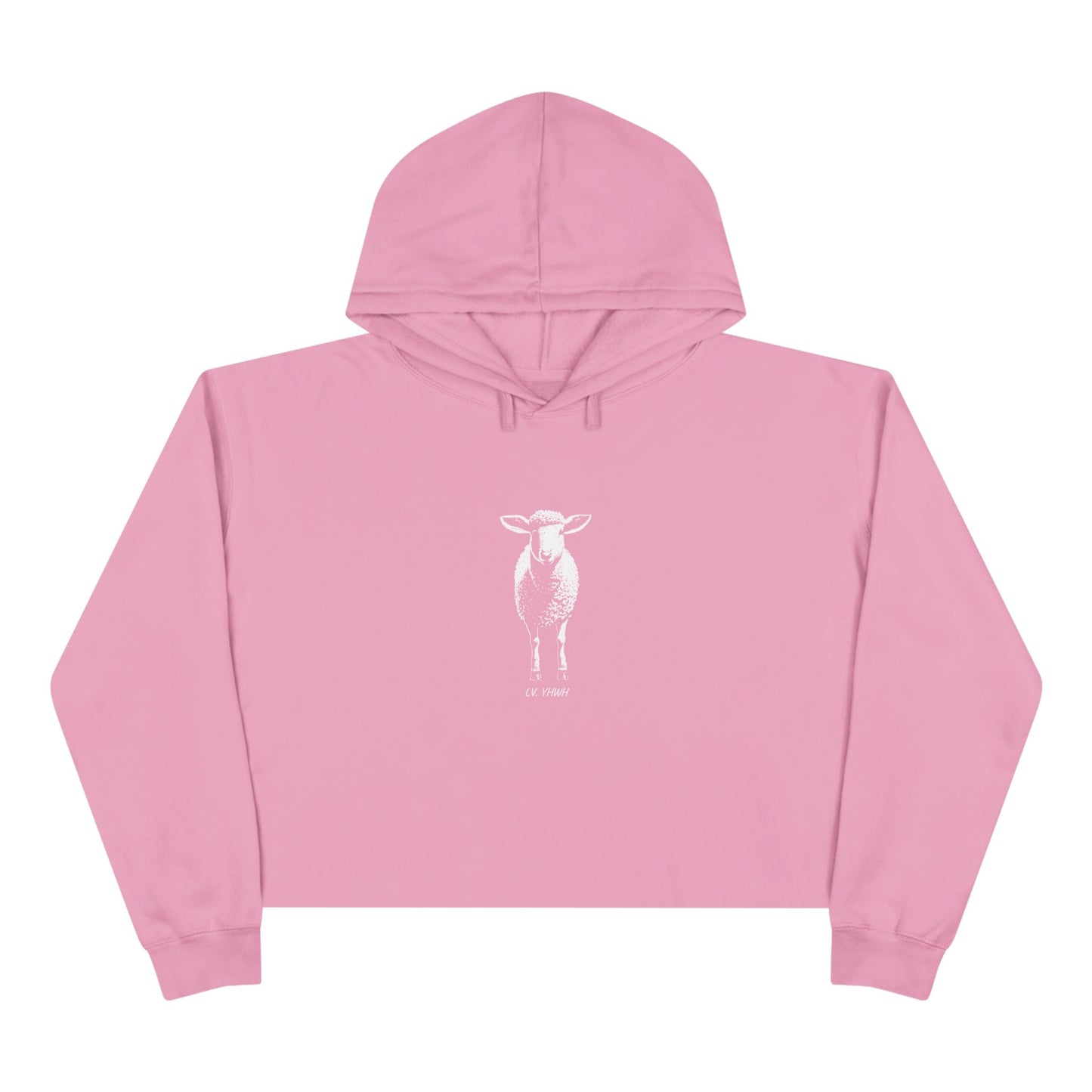 Found Crop Hoodie – Christian Women’s Hoodie | Luke 15:4 | Faith-Based Fashion