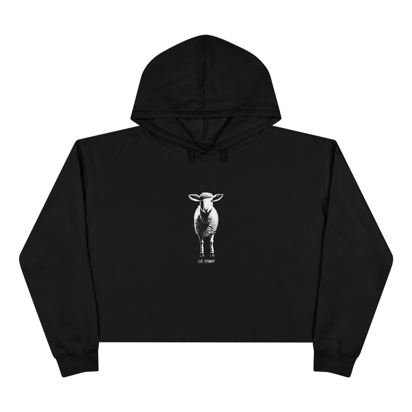 Found Crop Hoodie – Christian Women’s Hoodie | Luke 15:4 | Faith-Based Fashion