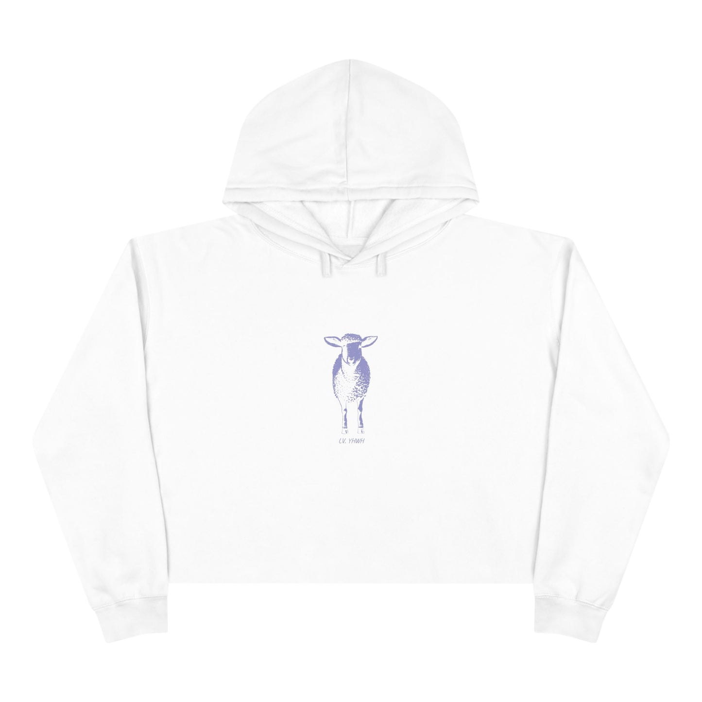 Found Crop Hoodie – Christian Women’s Hoodie | Luke 15:4 | Faith-Based Fashion