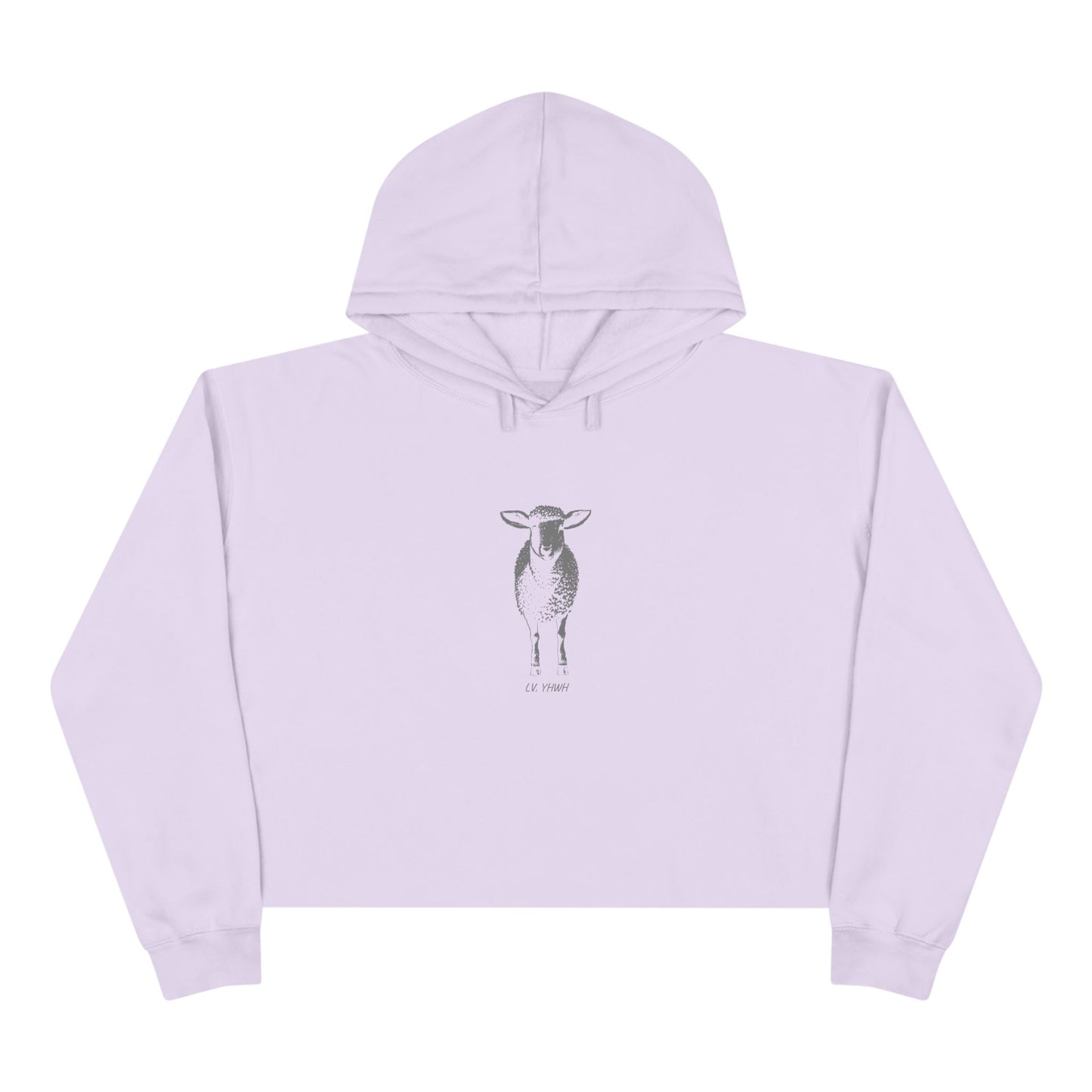 Found Crop Hoodie – Christian Women’s Hoodie | Luke 15:4 | Faith-Based Fashion