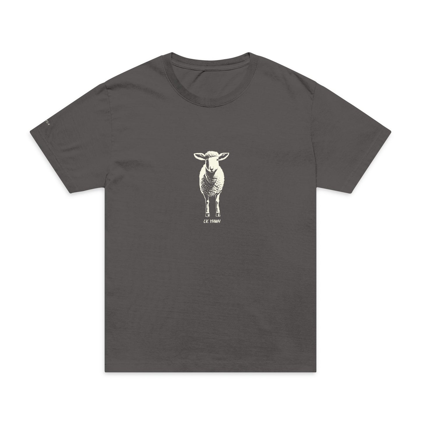 Found Oversized Tee — Luke 15:4 | Christian T-Shirt