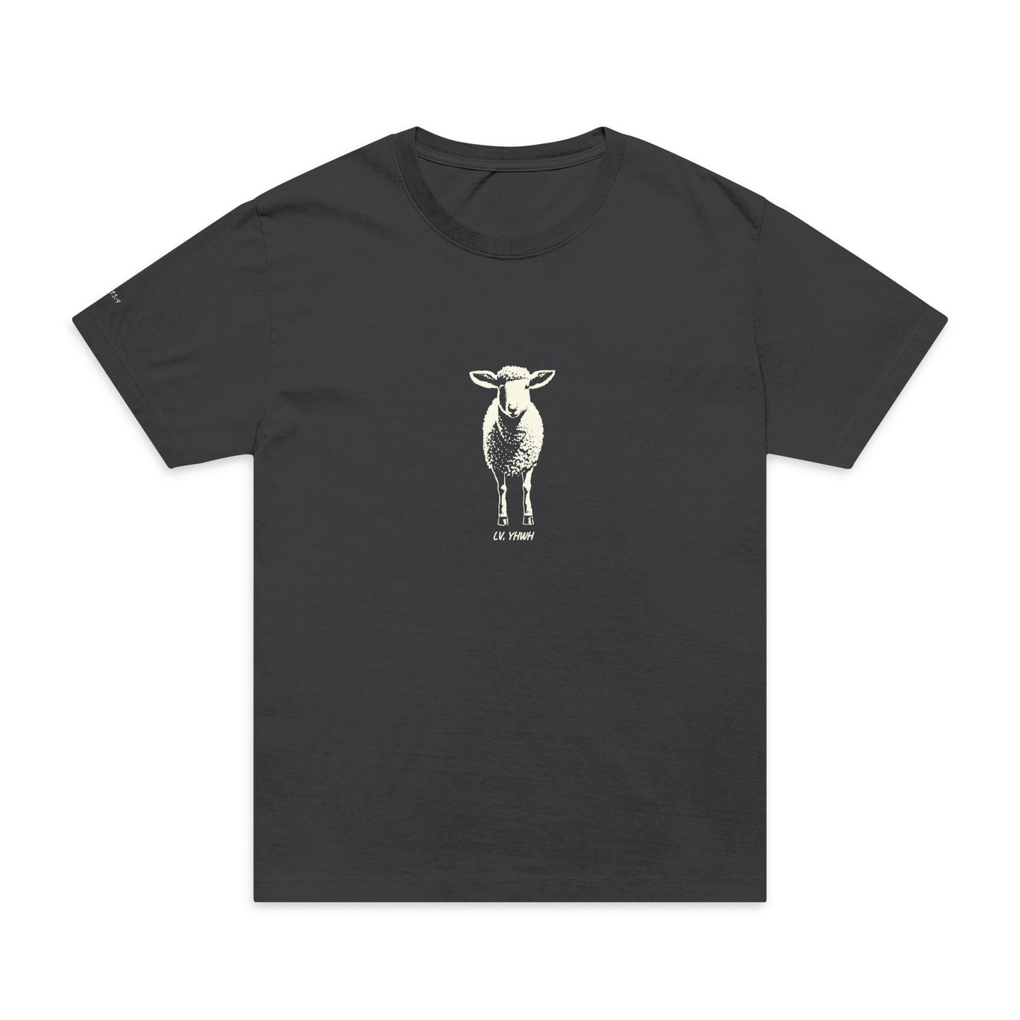 Found Oversized Tee — Luke 15:4 | Christian T-Shirt