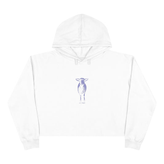 Found Crop Hoodie – Christian Women’s Hoodie | Luke 15:4 | Faith-Based Fashion